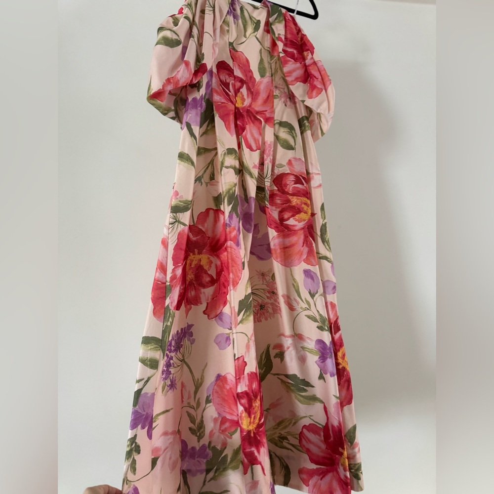 Ever New Formal Dress - Picture 3 of 4